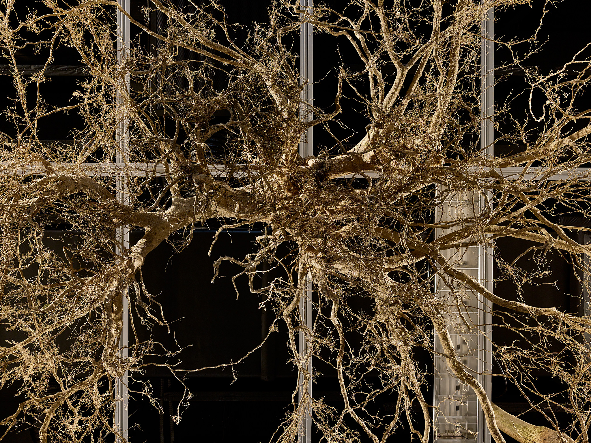 LIVE MATTER - Design Vegetal